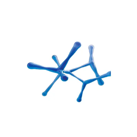 Polytech Lab s.r.l. logo
